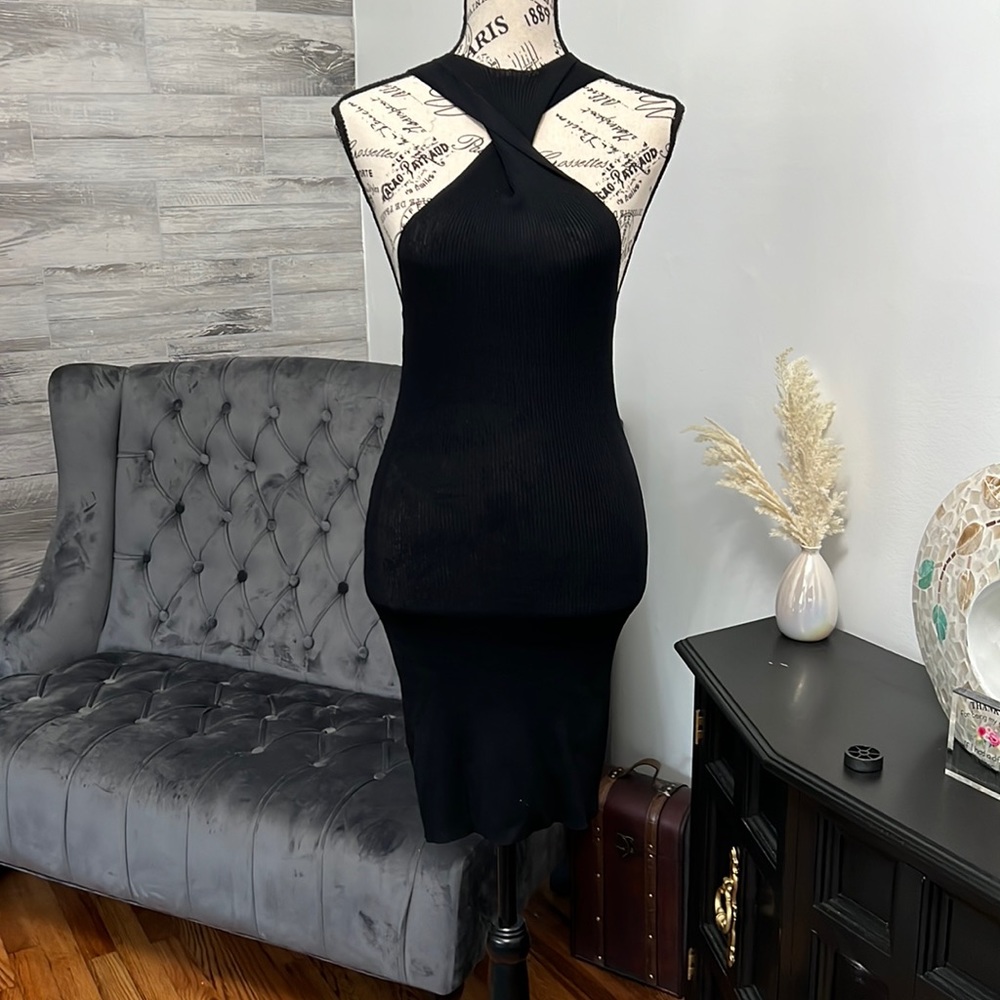 NWT LIONESS DRESS